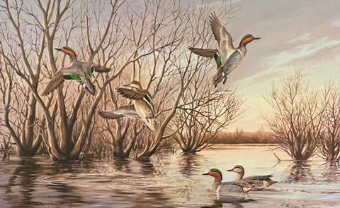 Manard Reece Sunrise Greenwings Teal S/N Art Print with cert 27 x 18