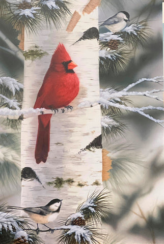 Mark Daehlin Feathered Friends I Cardinal Art Print 12 x 18