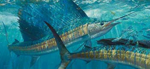 Mark Susinno Batting Cleanup Salefish S/N Canvas Art Print