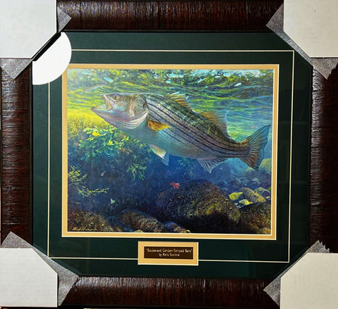 Mark Susinno Rockgarden Striped Bass Framed Print-20 x 18
