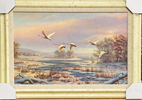 Mary Pettis White Swan's Art Print-Framed 31 x 22