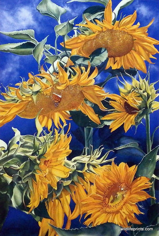 Mary Weinstein Sunkissed