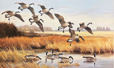 Maynard Reece S/N Canadian Geese Art Print The Quiet Place with Cert (31.25"x19.25")