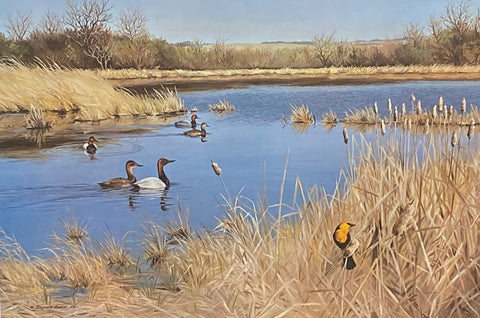 Maynard Reece The Marsh Duck Waterfowl Print