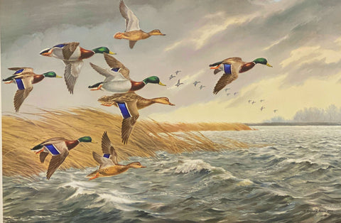 Maynard Reece Windy Day Mallards Duck Waterfowl S/N Art Print 27 x 18