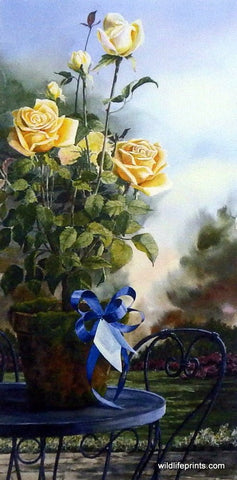 Michael Capser Perfect Gift