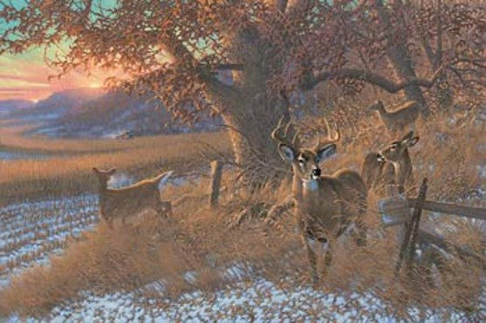 Michael Sieve Down from the Ridge Deer S/N Canvas