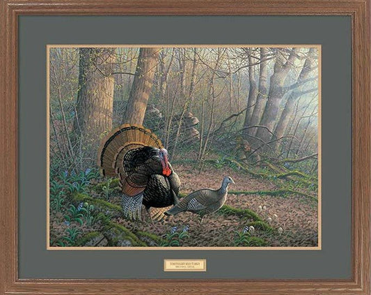 Michael Sieve Tom Foolery-Framed