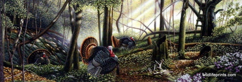 Mike Flentje Trophy Country