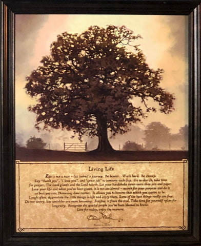 Mohr, Living Life Framed Acrylic (18.5x22.5)