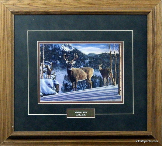 Kim Norlien Morning View- Framed