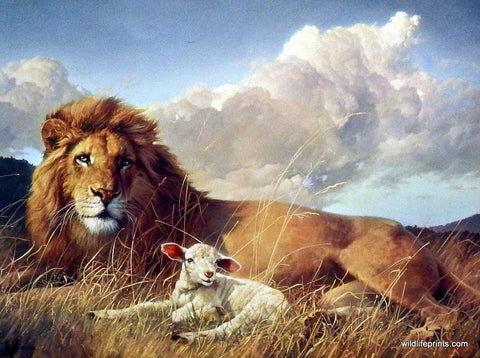 Nancy Glazier Peace on Earth - 12.25"x9.25"