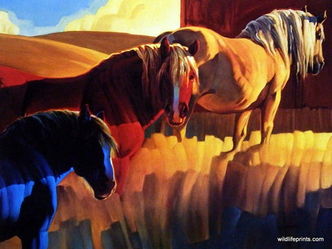 Nancy Glazier Primary Colors