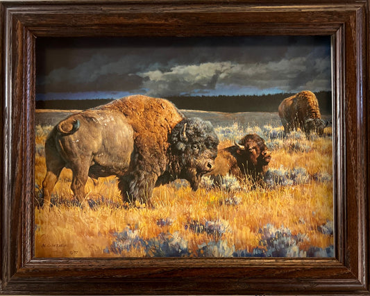 Nancy Glazier Restless Buffalo Bison Art Print-Framed Decorator 14.5 x 11.5