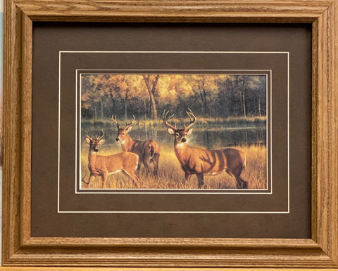 Nancy Glazier Shadow Time Deer Art Print-Framed (Oak) 21 x 17