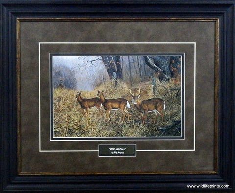 Terry Doughty New Arrival- Framed