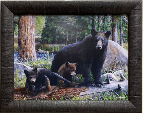 Kevin Daniel New Discoveries Bear and Cubs Art Print-Framed