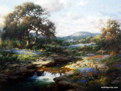 Larry Dyke Hill Country Morning