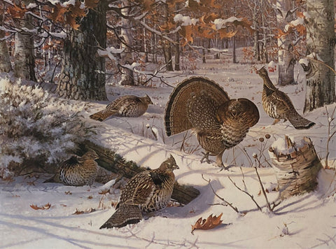 Owen Gromme Winter Ruffed Grouse S/N Art Print