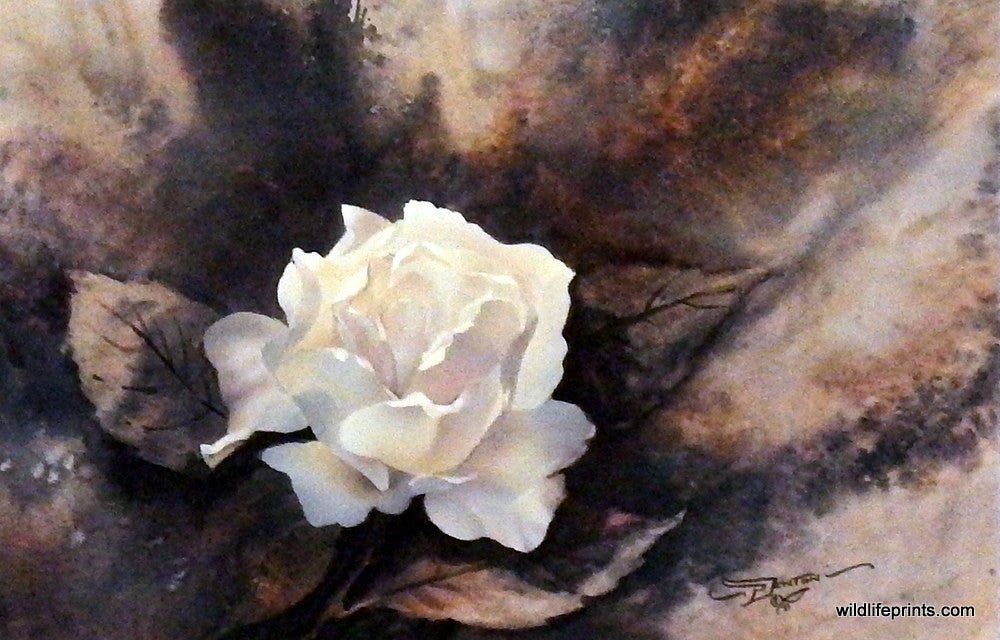 Pat Denton Summer Jewel