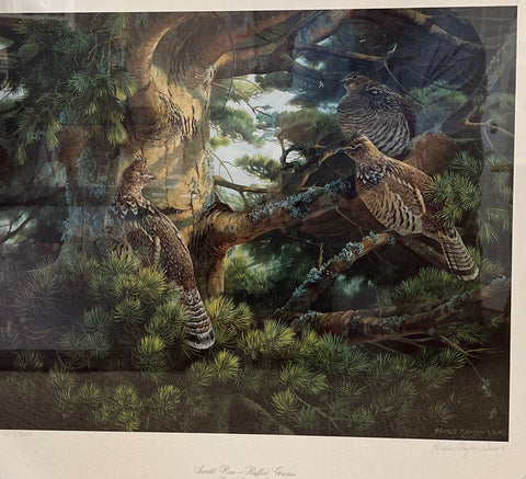 Peris Clayton Weirs Sunlit Pine Grouse Print 21 x 17