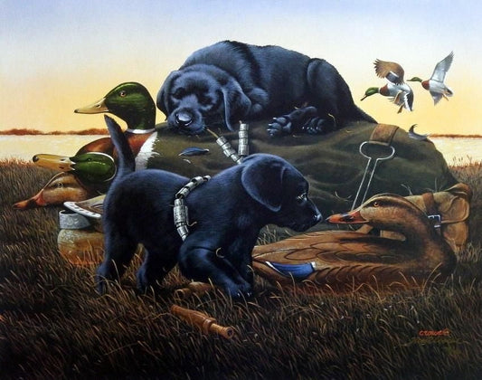 Phillip Crowe Dog Days