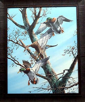 Phillip Crowe Greenwood Traffic Jam Duck Print-Framed 24.5 x 29 SN