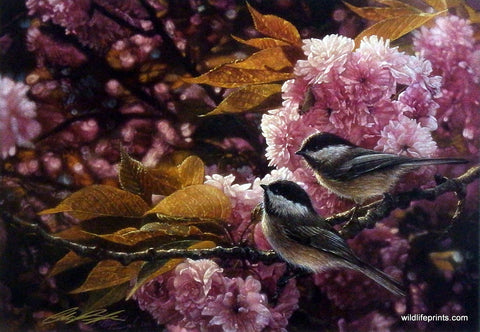 Collin Bogle Chickadees Picture with Pink Flowers