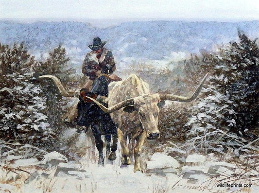 Ragan Gennusa Climbing Through the Cold