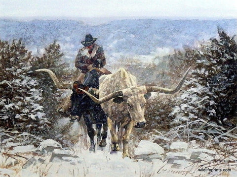 Ragan Gennusa Climbing Through the Cold