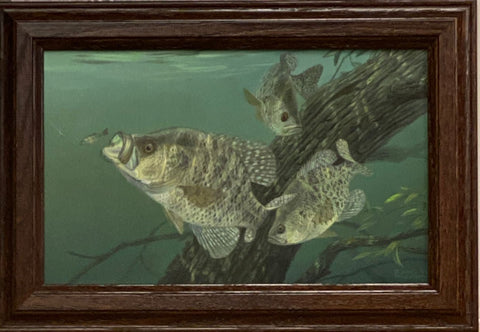 Randy McGovern Tree Dwellers Crappie Fishing Art Print-Wood Frame 14.5 x 10.5
