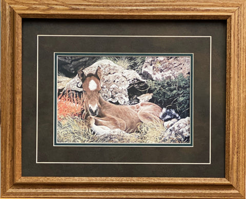 Ray Whitson Colt Horse Art Print-Framed 21 x 17