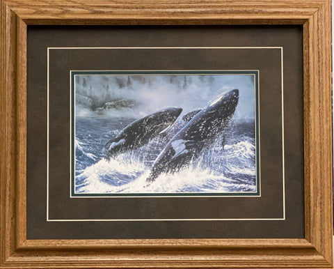 Ray Whitson Whales Art Print-Framed (Oak) 21 x 17