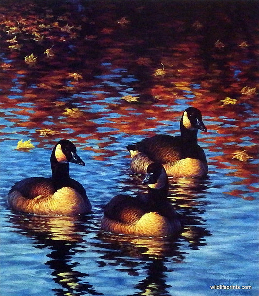 Robert Copple Reflections of an October Afternoon