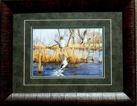 Richard Plasschaert Backwater Mallards Art Print-Framed