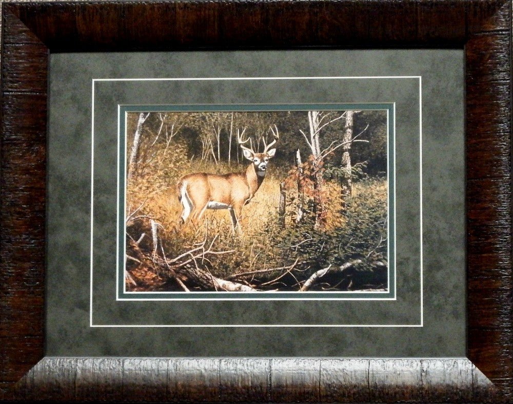 Richard Plasschaert River Bottom Buck-Framed