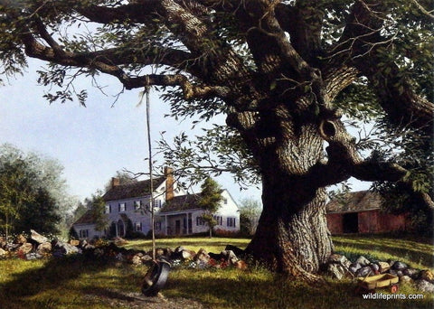 Richard Plasschaert Simple Pleasures