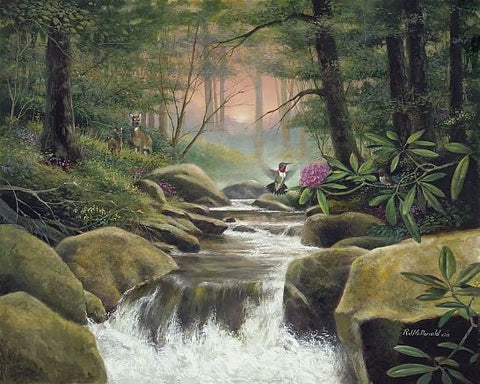 R.J. Mcdonald Colors of Dawn