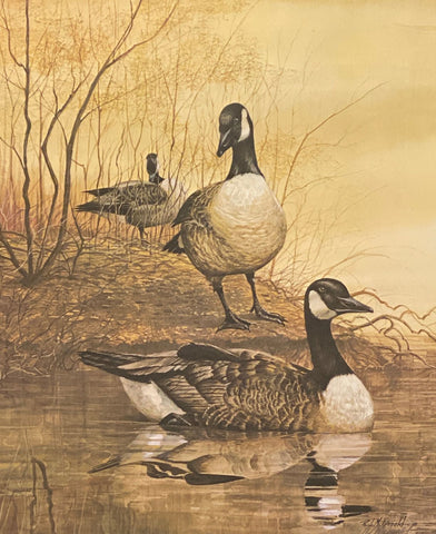R.J. McDonald Gabby's Farm Candian Honker Art Print 18.5 x 21.5