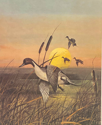R.J. McDonald Prairie Pintails S/N Art Print 16 x 19.5