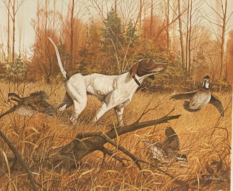 R.J. McDonald The Champion Dog Hunting Bobwhite Quail S/N Art Print