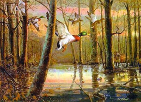 R.J. McDonald The Mallard Hole