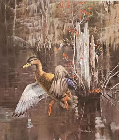 R.J. McDonald Walker's Pond Black Duck Ducks S/N Art Print  18 x 12