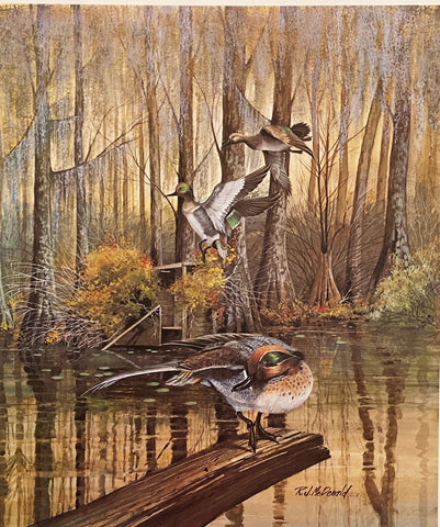 R.J. McDonald Walker's Pond Teal S/N Art Print 19 x 22.5