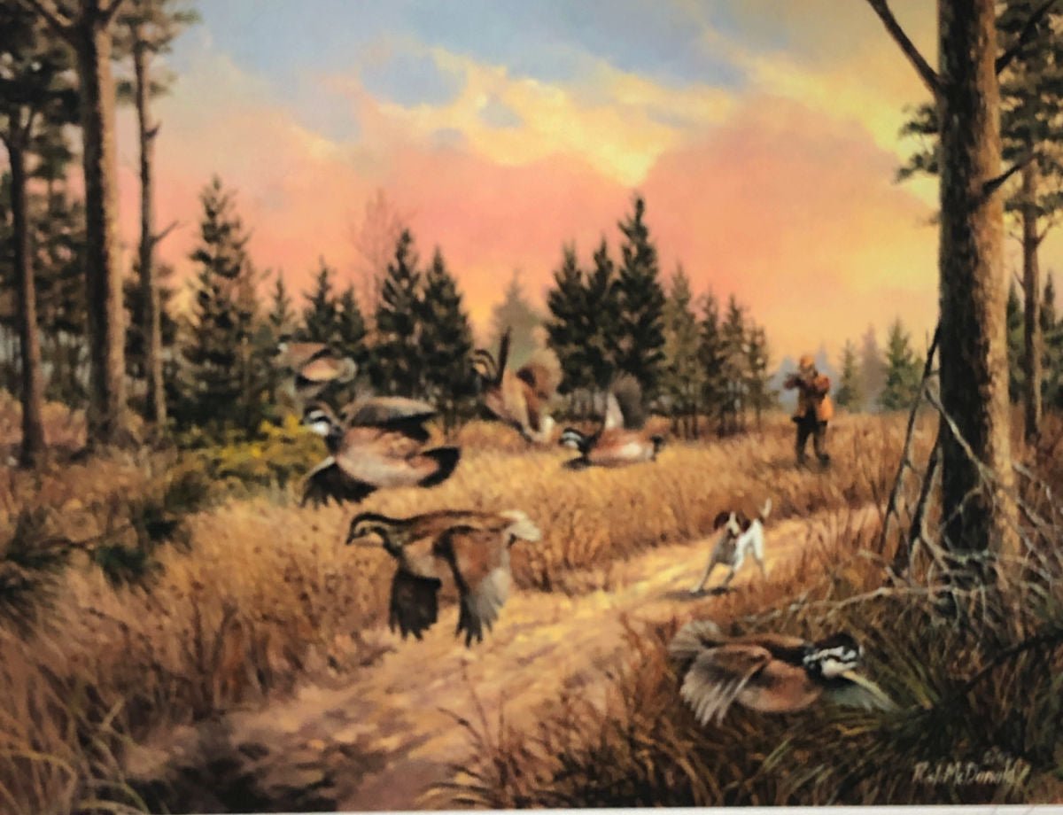 R.J.McDonald Caught In the Open S/N Quail Art Print-Free Shipping