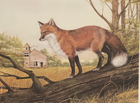 R.J.Mcdonald Faithful Fox S/N Art Print 21.5 x 16