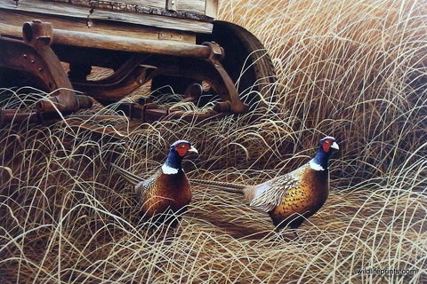 Robert Sissel Autumn Refuge