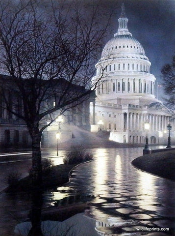 Rod Chase Liberty's Light