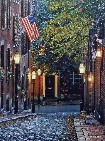 Rod Chase Old Glory