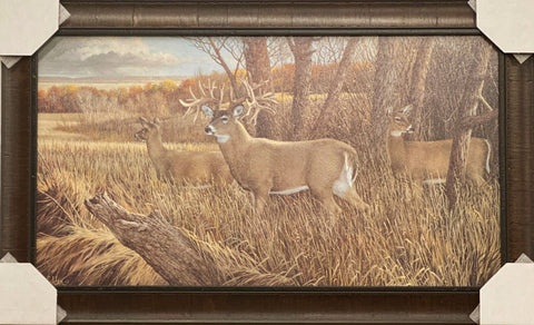 Ron Van Gilder The Missouri Giant Deer Art Print- Framed 31 x 19